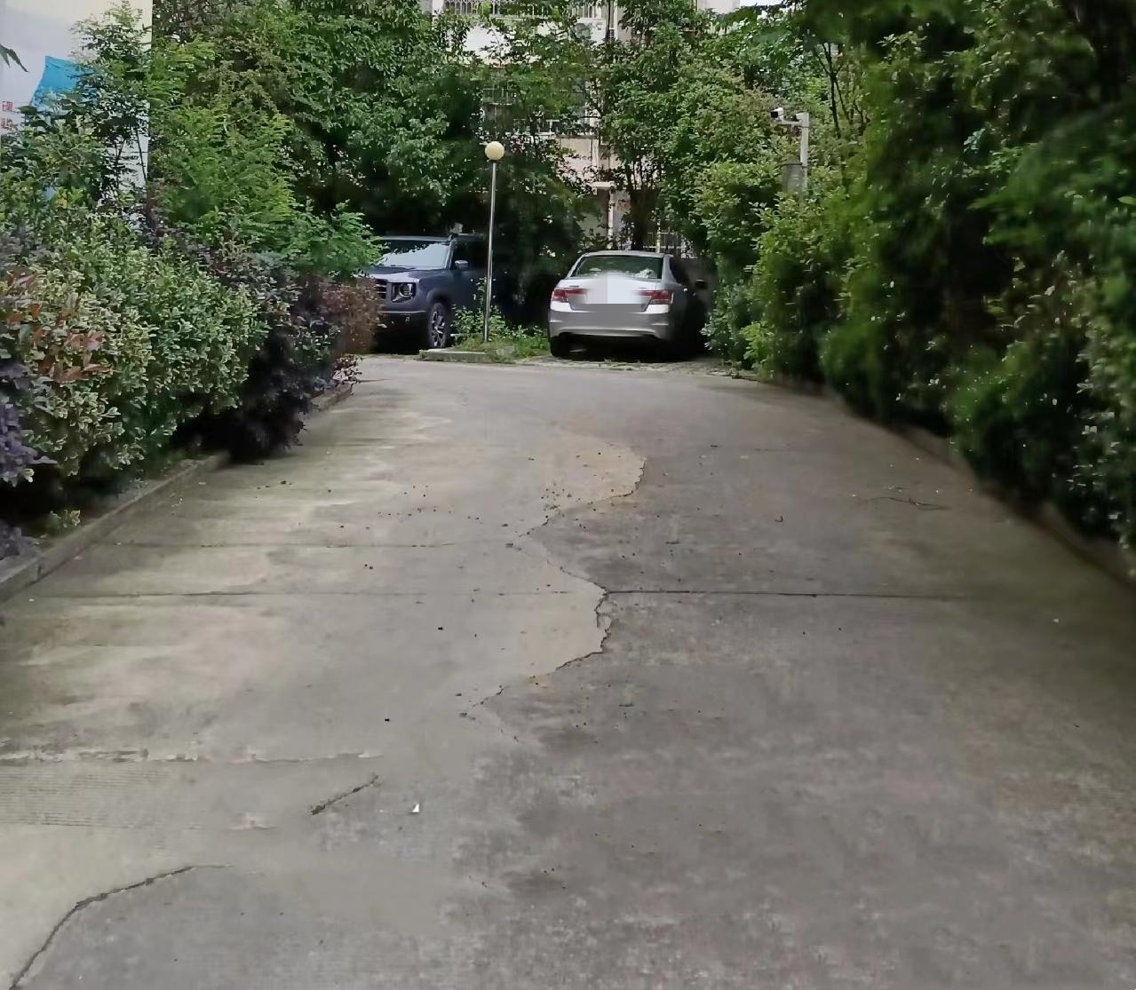 爱护环境，打造清洁和谐的家园